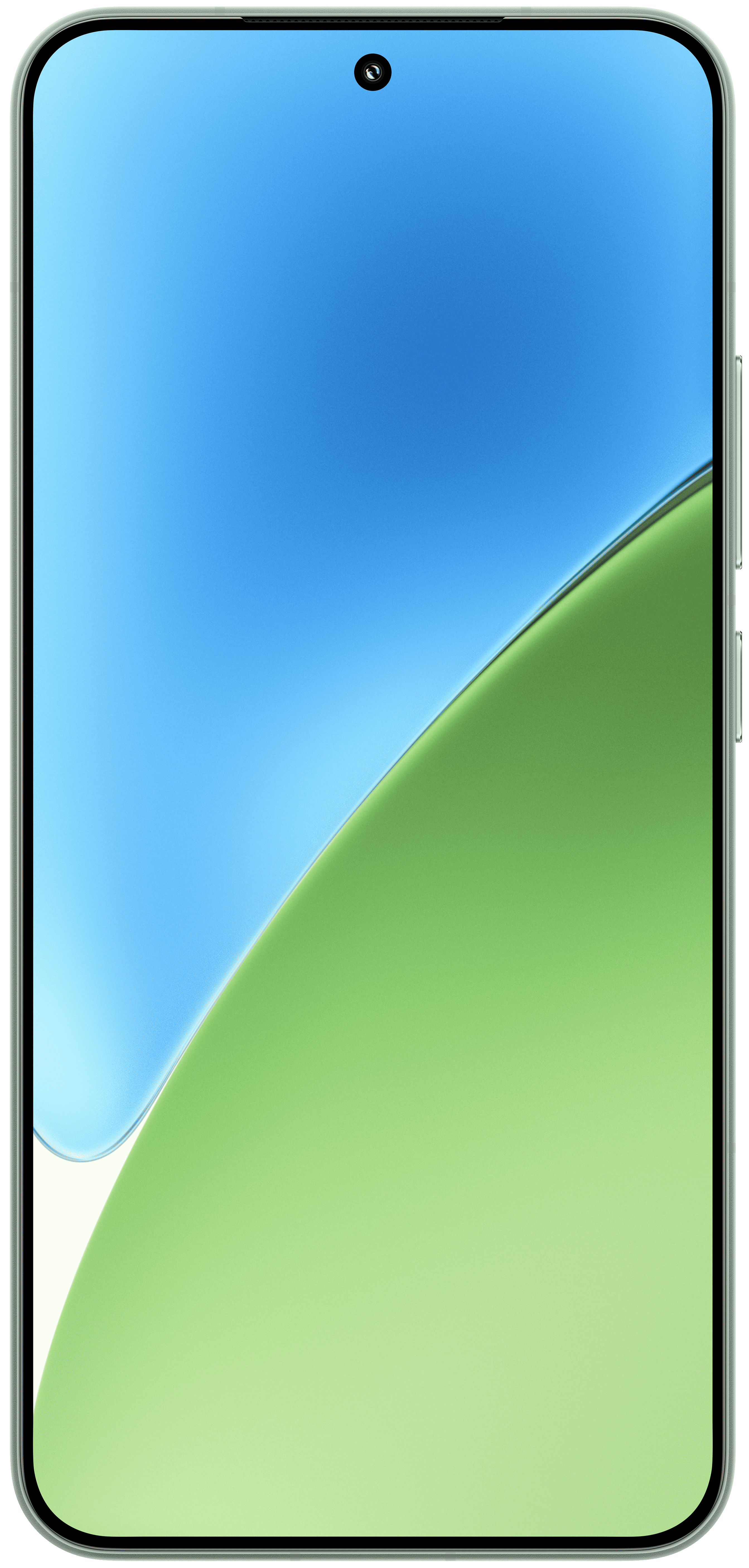 Xiaomi 15