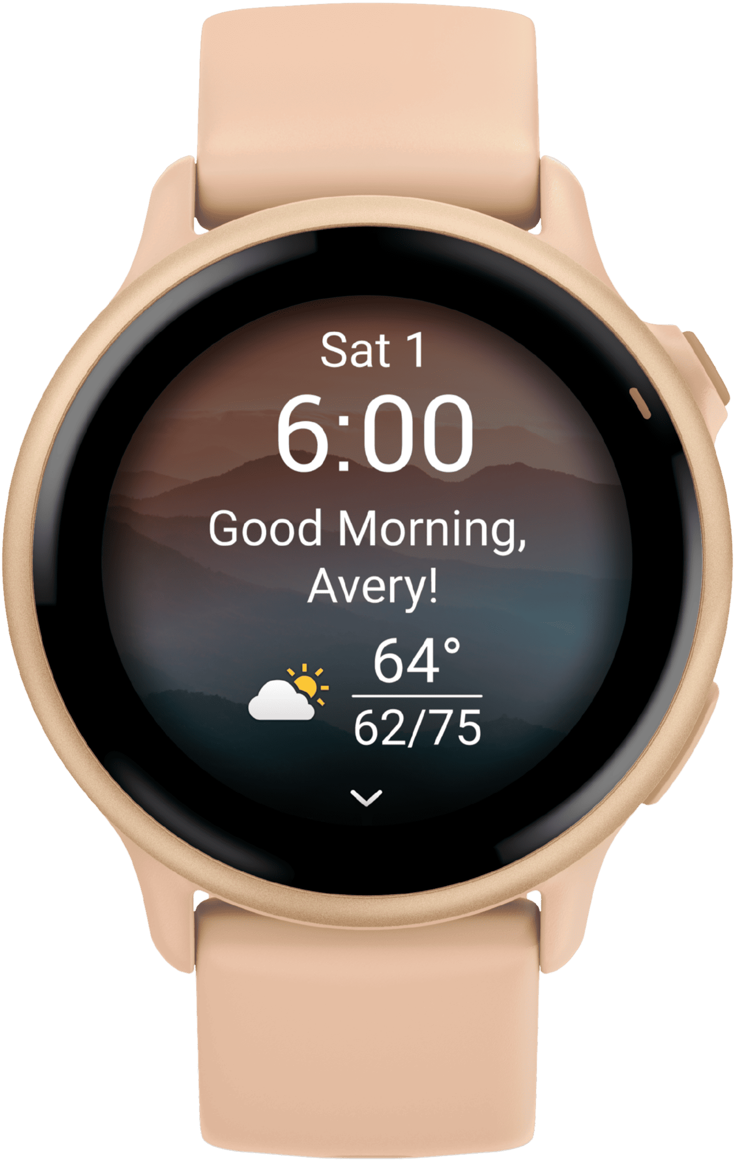 Garmin Vivoactive 6