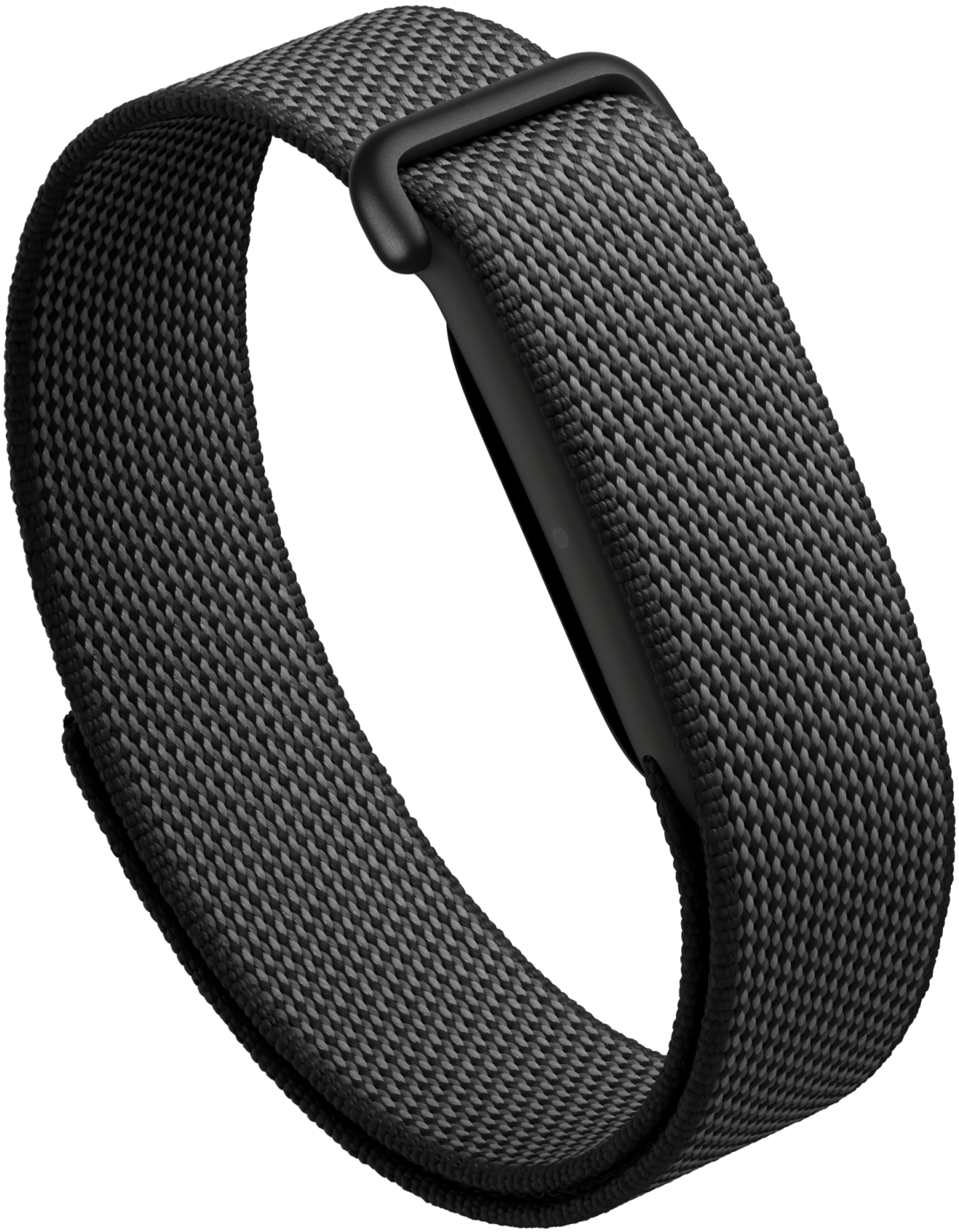 Google Fitbit Air